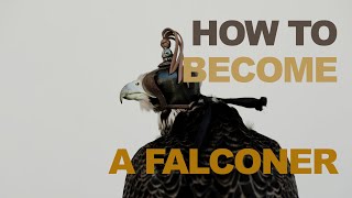 How To Become A Falconer [upl. by Wrennie]