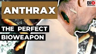 Anthrax Nature’s Perfect Bioweapon [upl. by Kcirdneked]