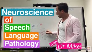 Neuroscience of Speech Language Pathology SLP [upl. by Marr185]