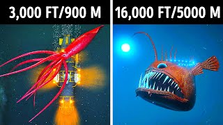 Fascinating 3D Journey to the Ocean Depths [upl. by Phineas744]