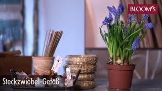 Deko mit Steckzwiebeln  DIY Frühlingsdeko  spring decoration  BLOOM’s Floristik [upl. by Erodeht600]