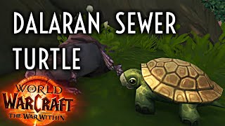 WoW Guide  Dalaran Sewer Turtle  The War Within [upl. by Nonnad]