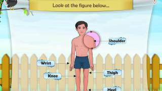 Learn Grade 1  Science  The Parts Of The Body and Their Functions [upl. by Ahders928]