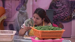 Bigg Boss 13 Highlights  Colors [upl. by Kirwin772]