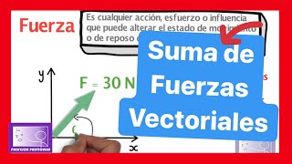 ✅FUERZAS RESULTANTES Suma de vectores  BIEN EXPLICADO💯 FÍSICA [upl. by Volkan990]