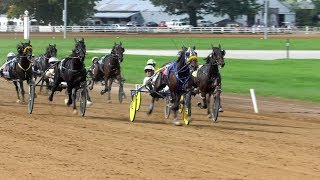 Harness Racing FanZone Top 10 Moments of 2018 [upl. by Gladwin]