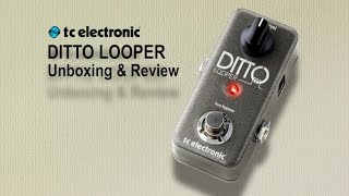 Ditto  Looper  Official Product Video [upl. by Nilak]