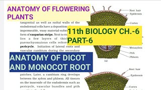 Class 11 BiologyCh6 Part6Anatomy of Dicot amp Monocot RootStudy with Farru [upl. by Recneps]