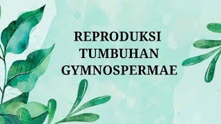 Ringkasan Materi  Reproduksi Tumbuhan Gymnospermae [upl. by Vasta]