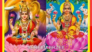 1008 Times  SHREEM BRZEE Lakshmi Devi Mantra Dr Pillai [upl. by Akeemat]