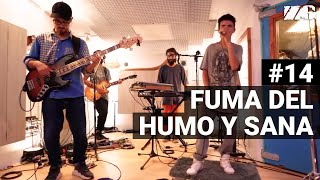 Zona Ganjah  Fuma Del Humo Y Sana Experiencia Streaming I Con letra [upl. by Ytte725]