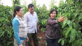 Vietnam Sustainable Farming for Higher Productivity and a Better Environment [upl. by Templa]