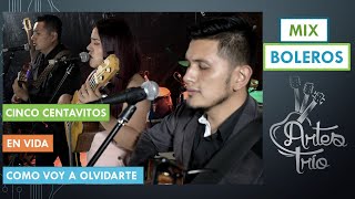 MIX DE BOLEROS Artes Trío Sonido en Vivo [upl. by Daniyal973]