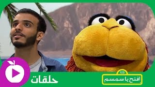 افتح يا سمسم  عصفور صغير  الحلقة 6 [upl. by Nnaeed]