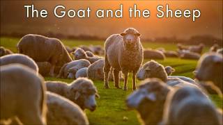 The Parable of the Goat and the Sheep [upl. by Aicilanna]