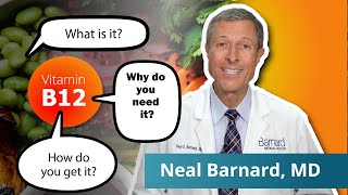 What You Need To Know About Vitamin B12  Vegan Diets [upl. by Trembly]