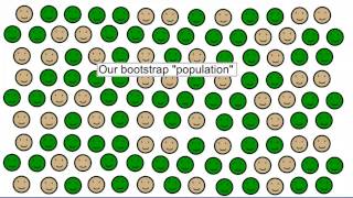 Confidence Intervals Intro to bootstrapping proportions [upl. by Irene296]