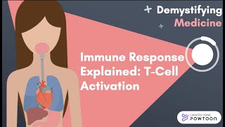 Immune Response Explained TCell Activation [upl. by Arval296]