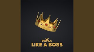 Like a Boss [upl. by Caine]