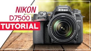 Nikon D7500 Tutorial  How To Setup Your DSLR [upl. by Ziwot]