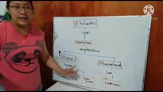 Mapa conceptual y cuadro sinoptico [upl. by Mcclure]