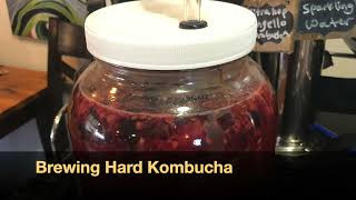 Brewing Hard  Alcoholic Kombucha [upl. by Cynthea325]