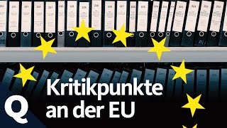 Kritik an der EU überprüft Drei häufige Punkte  Quarks [upl. by Wahkuna]