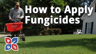 Do My Own Lawn Care  How to Apply Fungicides  Ep17 [upl. by Boudreaux92]