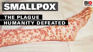 Smallpox The Plague That Humanity Defeated [upl. by Llenrup699]