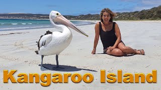 Kangaroo Island The Best things to see South Australia [upl. by Ailaza]