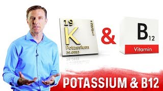 Potassium and Vitamin B12 Balance Explained by DrBerg [upl. by At]