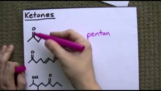 Aldehydes and Ketones Naming  Properties [upl. by Anilatak427]