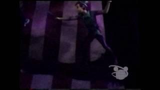 Peter Pans Flight  Walt Disney World [upl. by Eirahs]