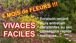 VIVACES FACILES à TRES LONGUE FLORAISON  5 super plantes [upl. by Perni]