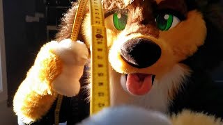 measures you for your new fursuit Furry ASMR [upl. by Walls445]