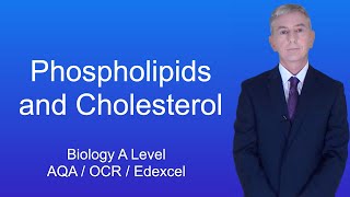 A Level Biology Revision quotPhospholipids and Cholesterolquot [upl. by Analla]