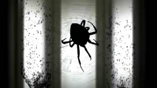 Halloween Spider Bay Window Projection [upl. by Odelle832]