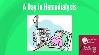 A day in hemodialysis [upl. by Pollard303]