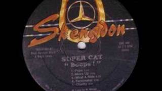 Supercat Jah Run Things [upl. by Appleton]