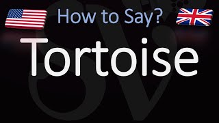 How to Pronounce Tortoise CORRECTLY [upl. by Viole430]