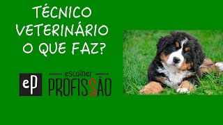 TÉCNICO VETERINÁRIO O QUE FAZ [upl. by Aihsiek]