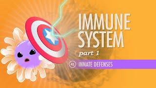 Immune System Part 1 Crash Course Anatomy amp Physiology 45 [upl. by Skipp]