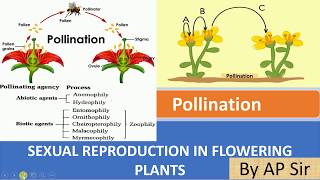 Pollination and its type [upl. by Freddy]