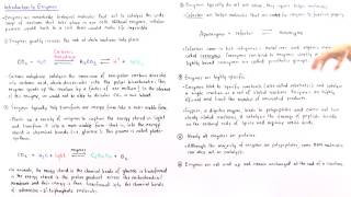 Properties of Enzymes [upl. by Zetnom]