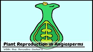 Plant Reproduction in Angiosperms [upl. by Kappenne]