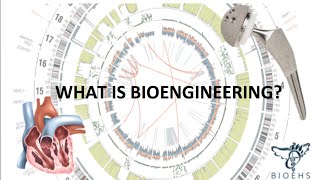 What is Bioengineering  BioEHS [upl. by Ronalda]