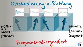 Ortskodierung für 2DMRTBilder [upl. by Hemphill]