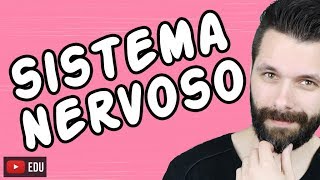 SISTEMA NERVOSO  FISIOLOGIA  Aula  Biologia com Samuel Cunha [upl. by Ennaharas]