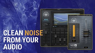 How To Clean Unwanted Noise in Audio Waves WNS  NS1 Tutorial [upl. by Bamby]