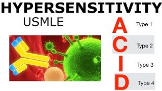 Hypersensitivity  USMLE [upl. by Gessner661]